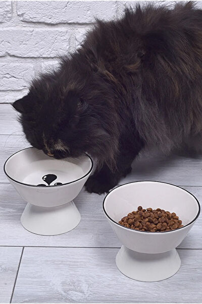 Şuramutfak Kedi Mama ve Su Kapları