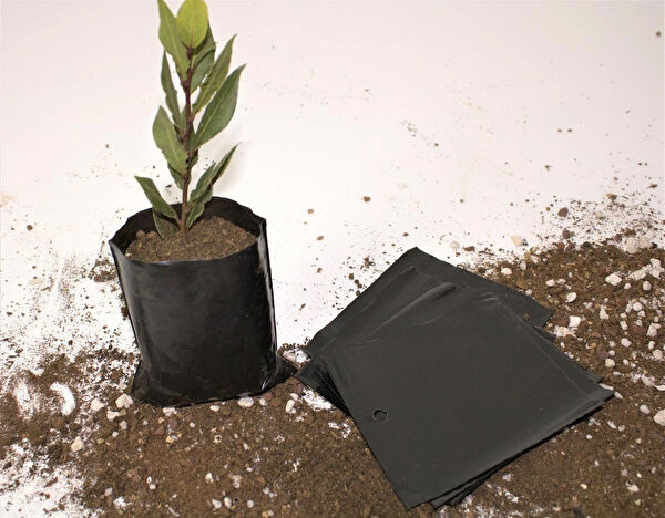 Ekodoğa Bitki Yetiştirme Kiti