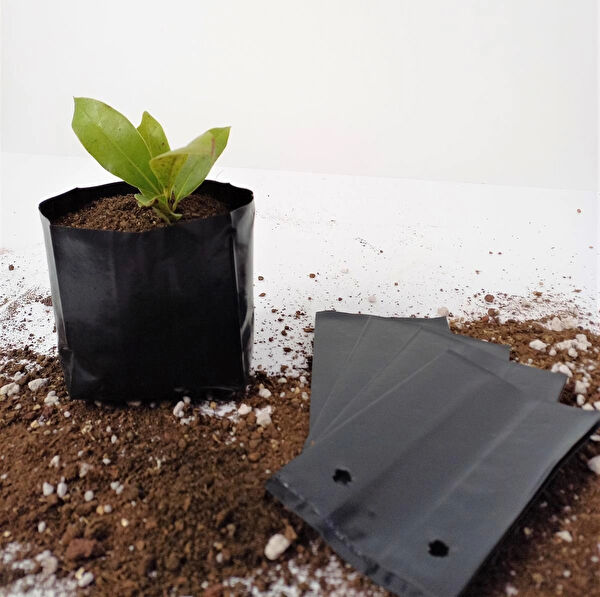 Ekodoğa Bitki Yetiştirme Kiti