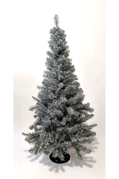 Carnival Yılbaşı Ağacı