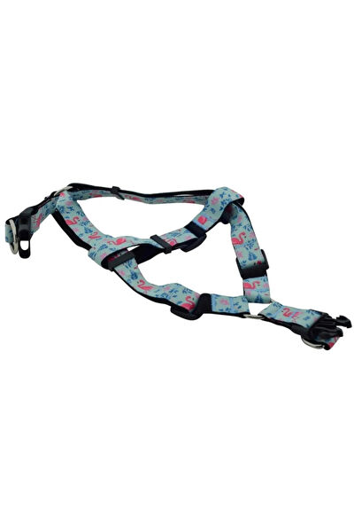 Hit Dukkan Köpek Güvenlik