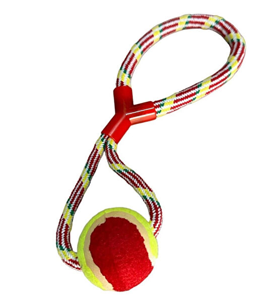 CARNIVAL LAND Köpek Oyuncakları