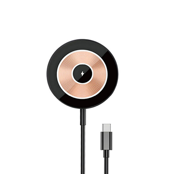 Canpay Kablosuz Şarj Aleti, Alıcı