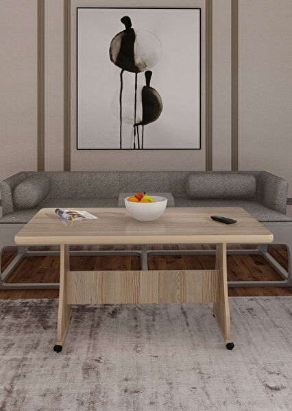 Modilayn Ofis Sehpası