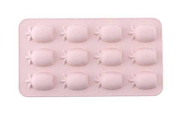 Silicolife Buz Kalıbı, Torbası