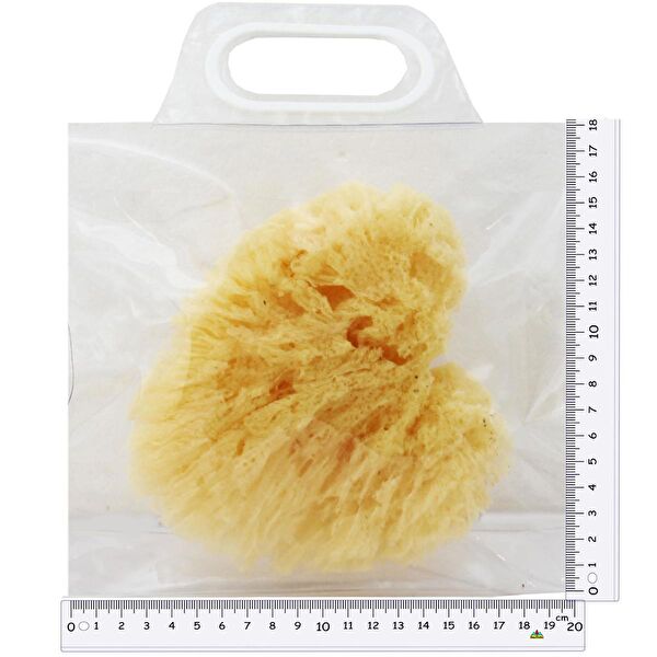 Farmasanal Banyo Süngeri