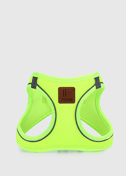 Provoq Köpek Tasmaları