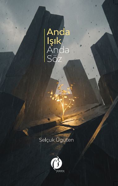 Herdem Kitap Roman Kitapları