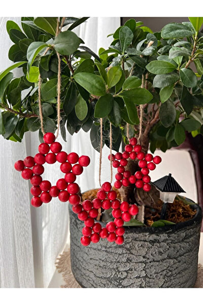 SSCglow Duvar Süsleri