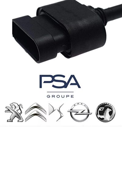 Orjinal Müşürler (Yağ Müşürleri)