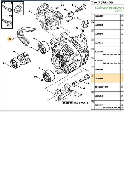 Hutchinson V Kayışı