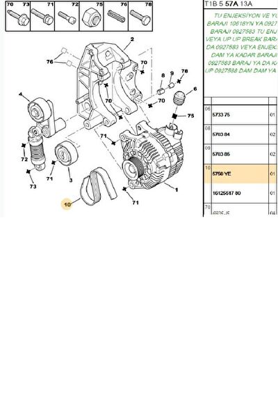 Hutchinson V Kayışı
