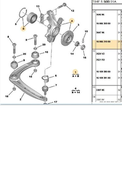 Fase Aks Körük & Kafası