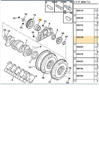 Psa Eksantrik Zinciri