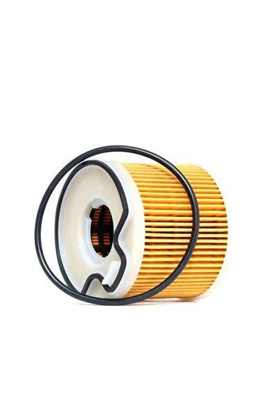 Purflux Yakıt Filtreleri