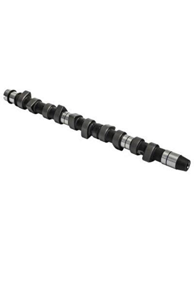 ESTAŞ Eksantrik Mili