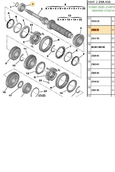 Psa Prizdirek Rulmanı