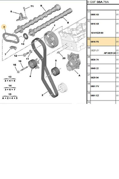 Psa Eksantrik Zinciri