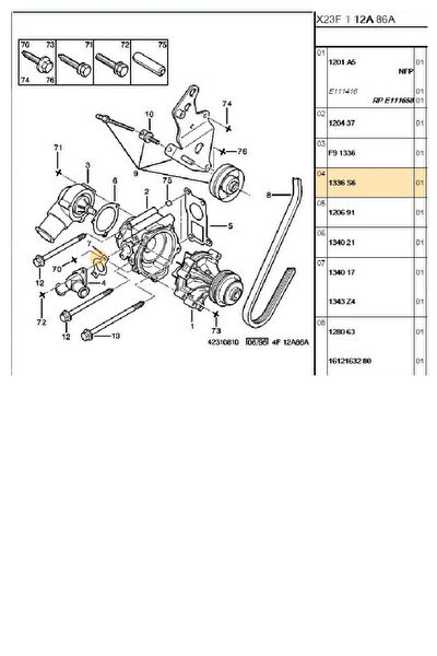 Psa Marş Kollektörü