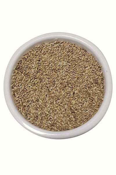 Vivid Kuş Yemi, Kraker