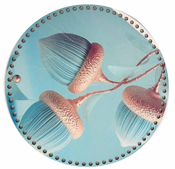 Angel Çanta Aksesuar Çanta Yapım Malzemeleri