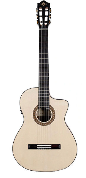 Martinez, Ernie Ball Gitar