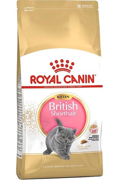 Royal Canin Kedi Maması