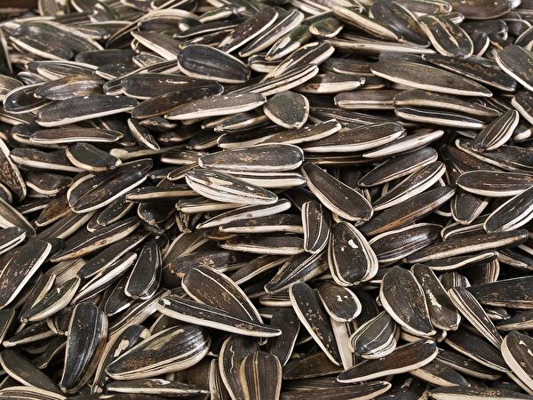 BESLENME DEDEKTİFİ Karışık Kuruyemiş