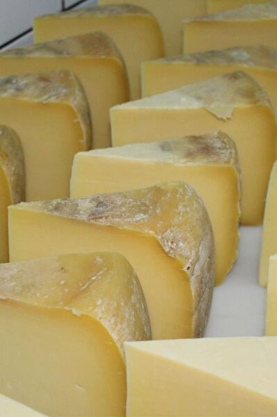 Boğatepe Çiftliği Peynir