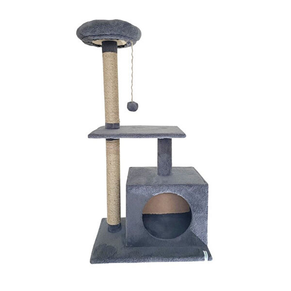 Reyo Kedi Tırmalama