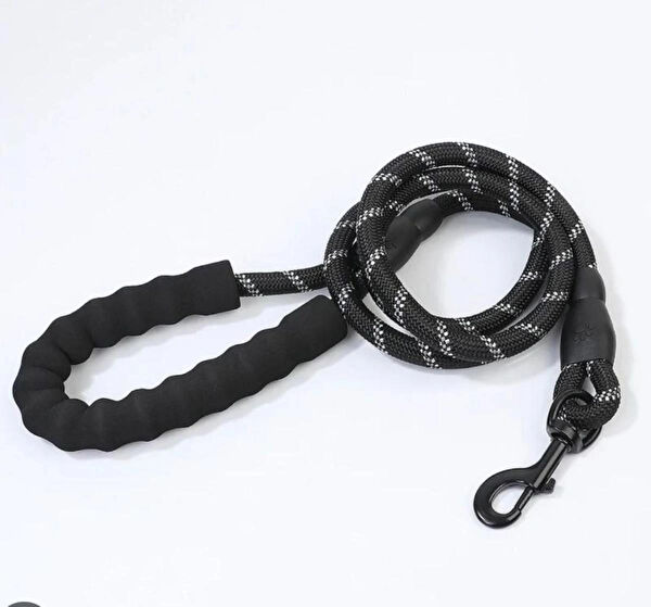 CARNIVAL LAND Köpek Tasmaları