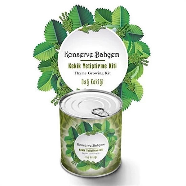 İpek Yıldızı Bitki Yetiştirme Kiti