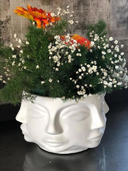 Meggdecor Dekoratif Obje, Biblo, Figür