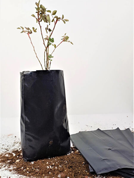 Ekodoğa Bitki Yetiştirme Kiti