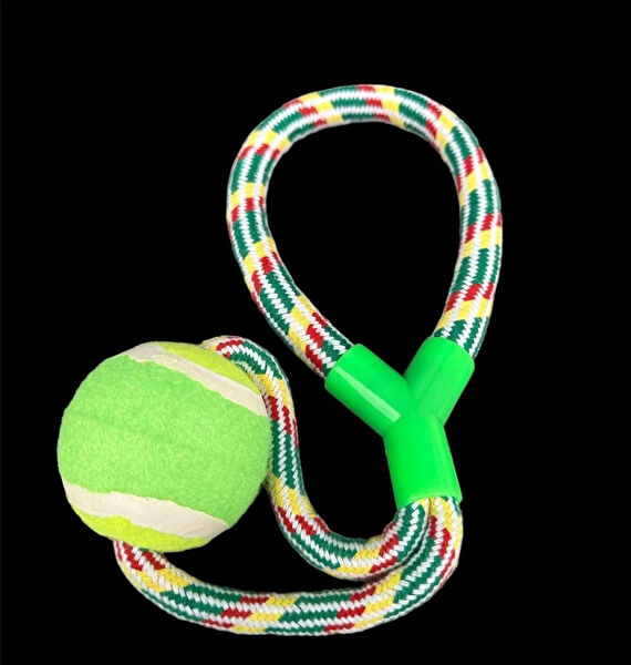 CARNIVAL LAND Köpek Oyuncakları