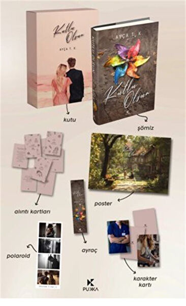 Pukka Yayınları Roman