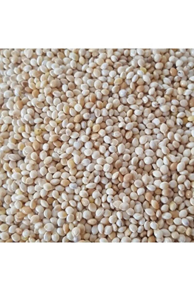 Genel Kuş Yemi, Kraker