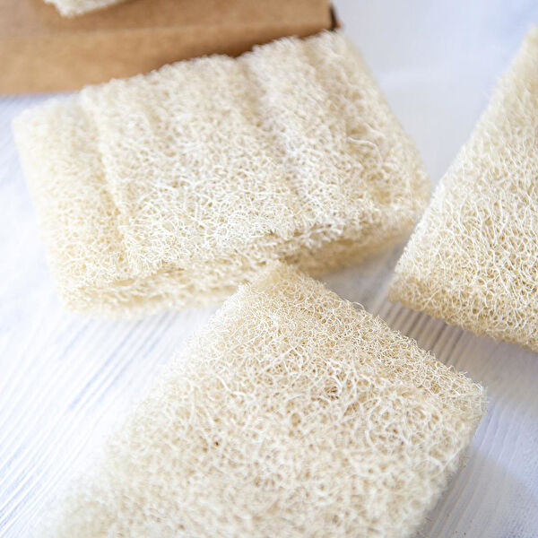 BESLENME DEDEKTİFİ Akne, Gözenek, Leke Ürünleri