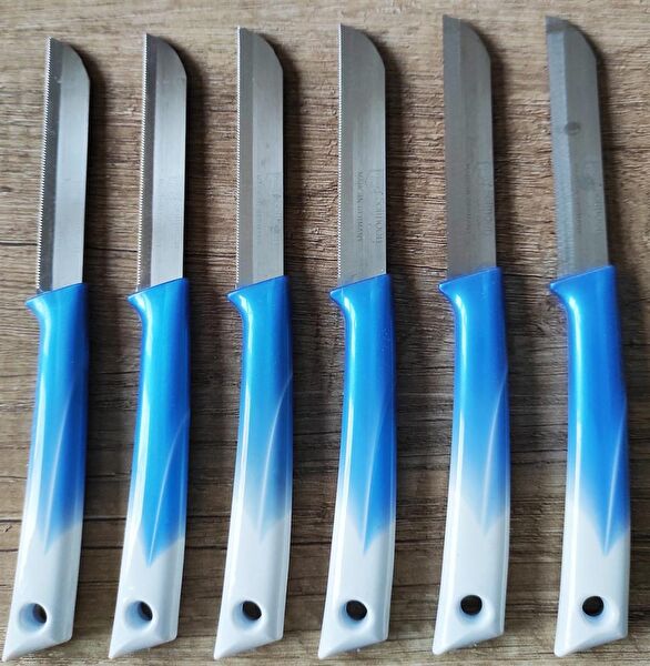 Solingen Bıçak Seti