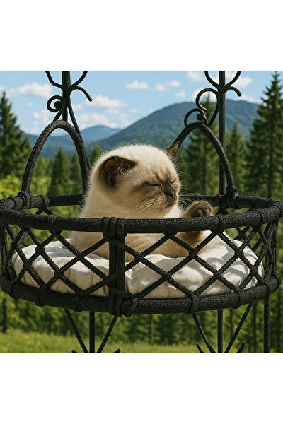 Teknor Kedi Yatağı