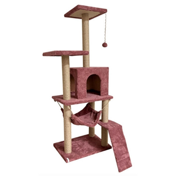 Reyo Kedi Tırmalama