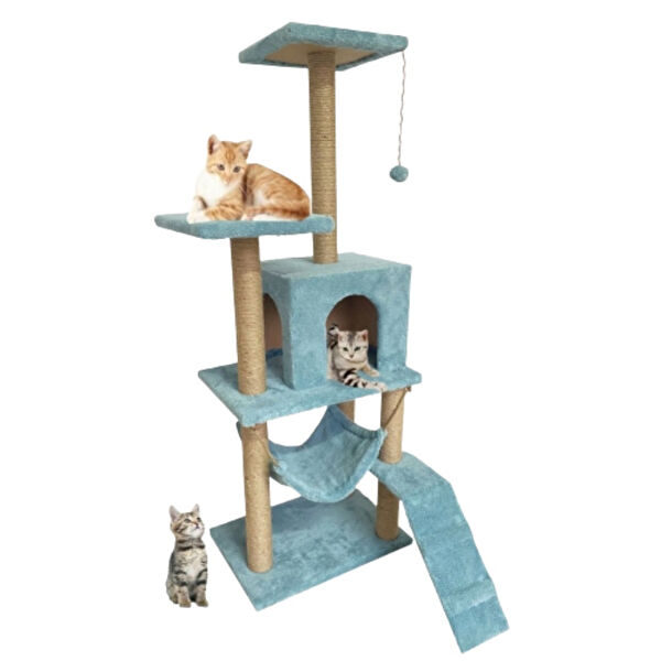 Reyo Kedi Tırmalama