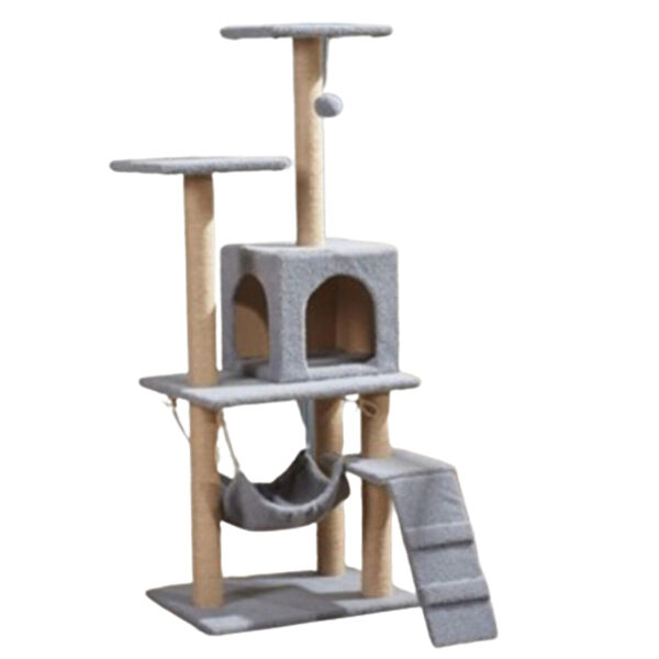 Reyo Kedi Tırmalama