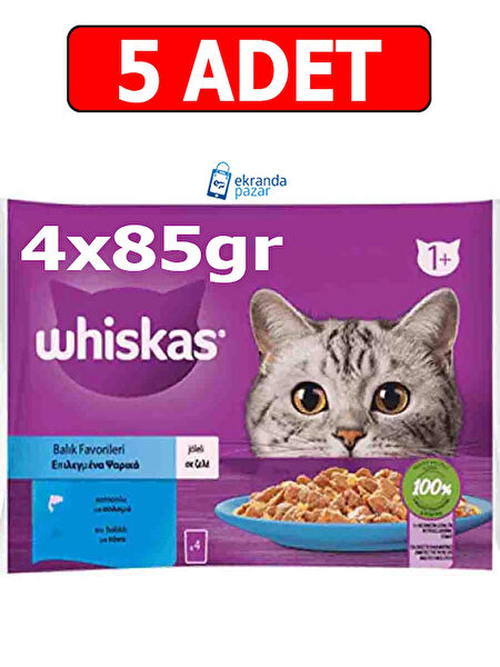 Whiskas Kedi Maması