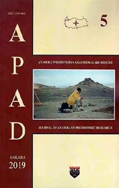 Bilgin Kültür Sanat Araştırma, Tarih