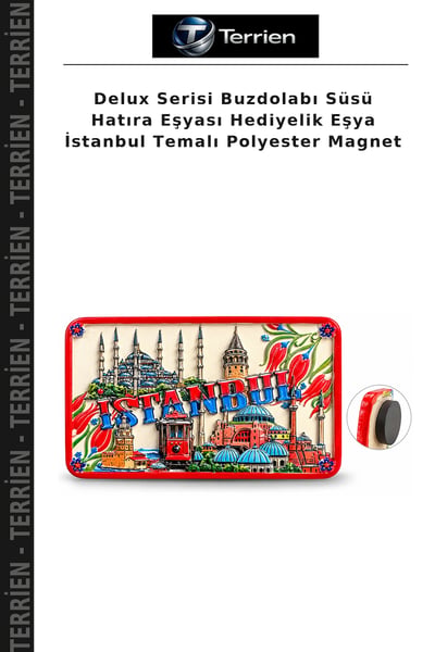 Terrien Magnet