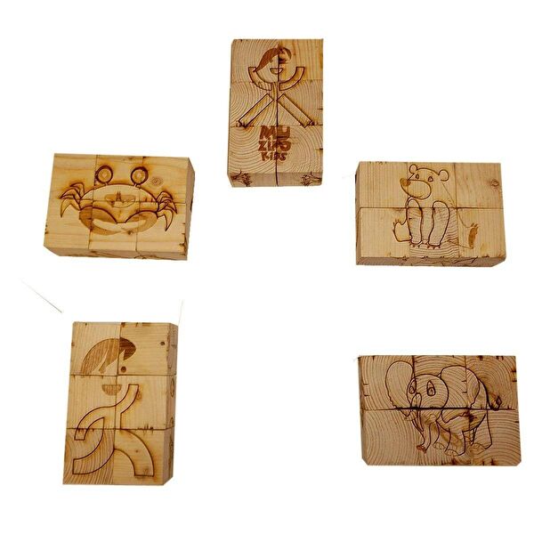 Muzi Eğitici Oyuncaklar