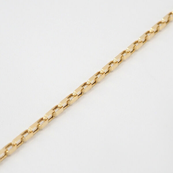 Geste Jewellery Altın Kolye