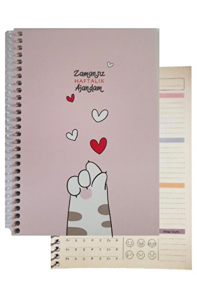 Artlantis Defter, Ajanda