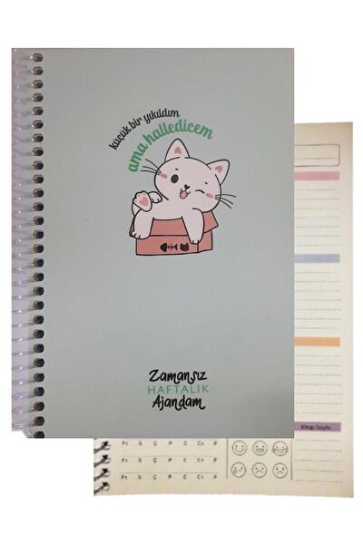 Artlantis Defter, Ajanda